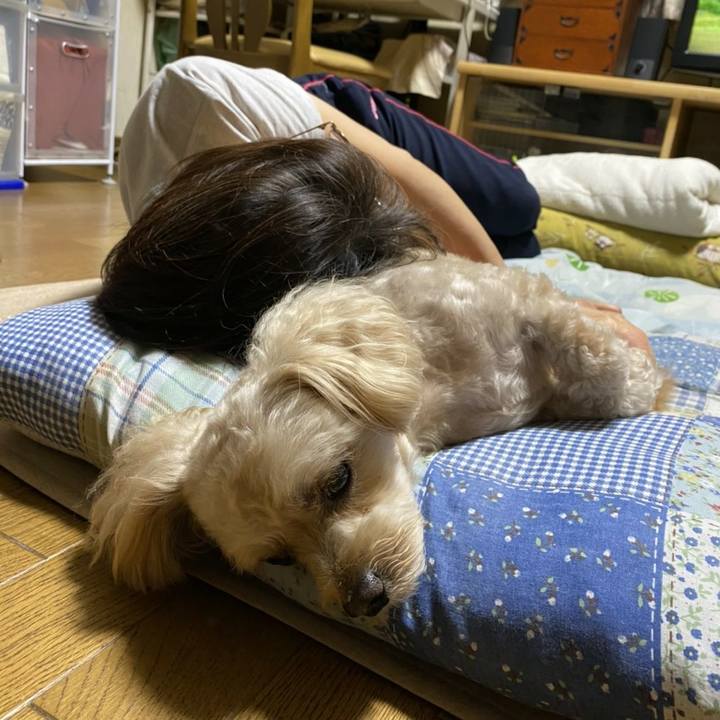 438ab30f e665 4b1f b8d1 ceb65349cee6 1595679982432