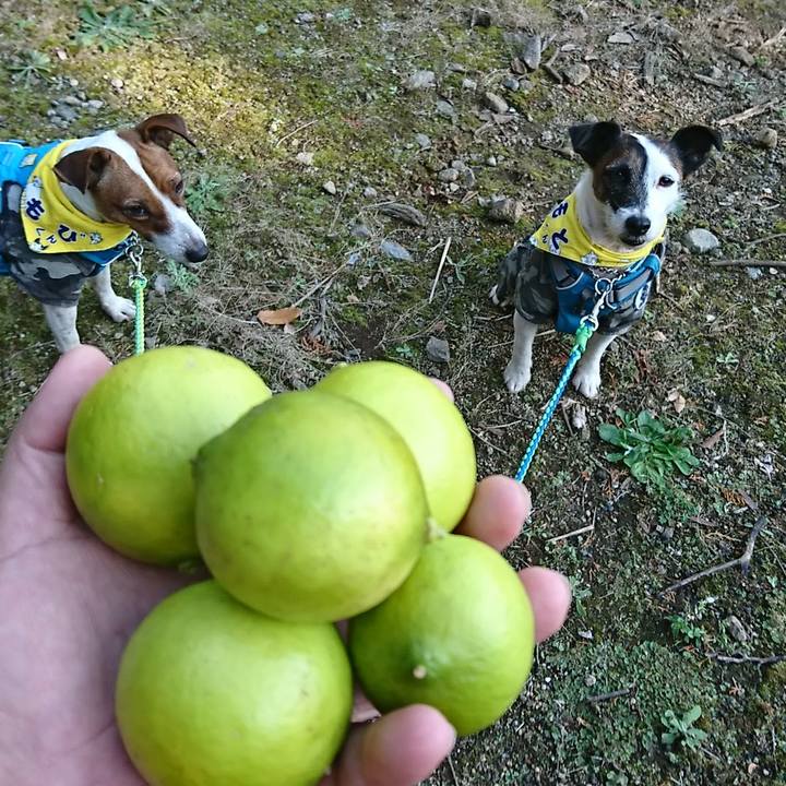 438ab9ab 1e6f 4b5f bc69 71be30e4e6f4 1576387809153