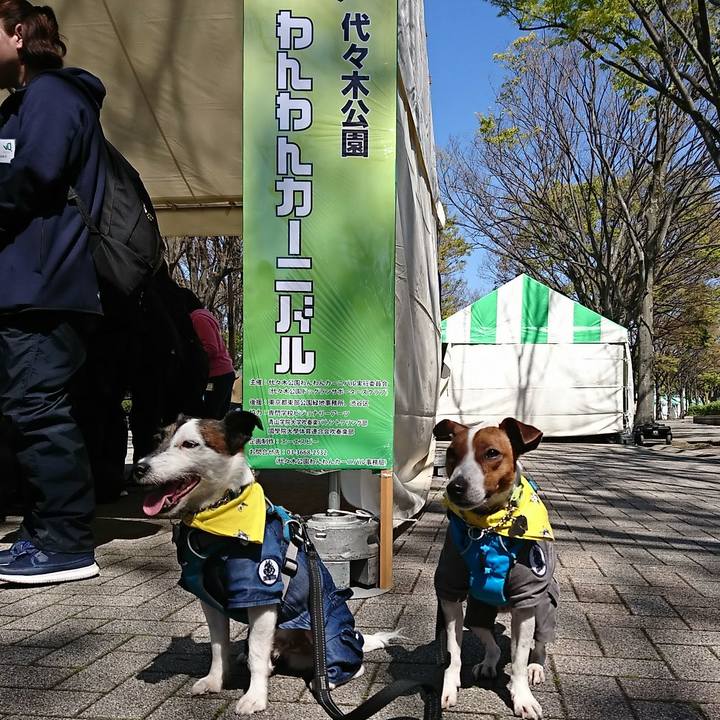 438ade5e 67bb 4544 8991 138ef6030af6 1555121001217