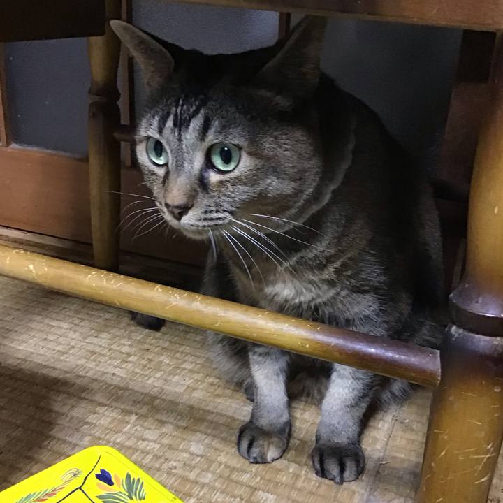 438b021e 98cd 4f77 bc8e 82aa69707bf7 1746788860071