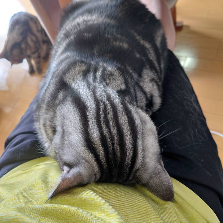 438b147c 2165 4970 9153 605458519fdb 1657347092776