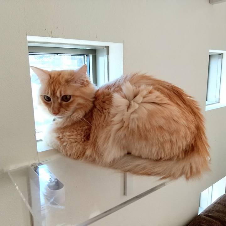 438b3634 7bb1 48ef a1b5 439b7ecc2146 1641010001241