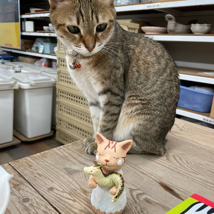 438b53b1 8564 4a7b 82f1 f16783a1a81f 1707901616977