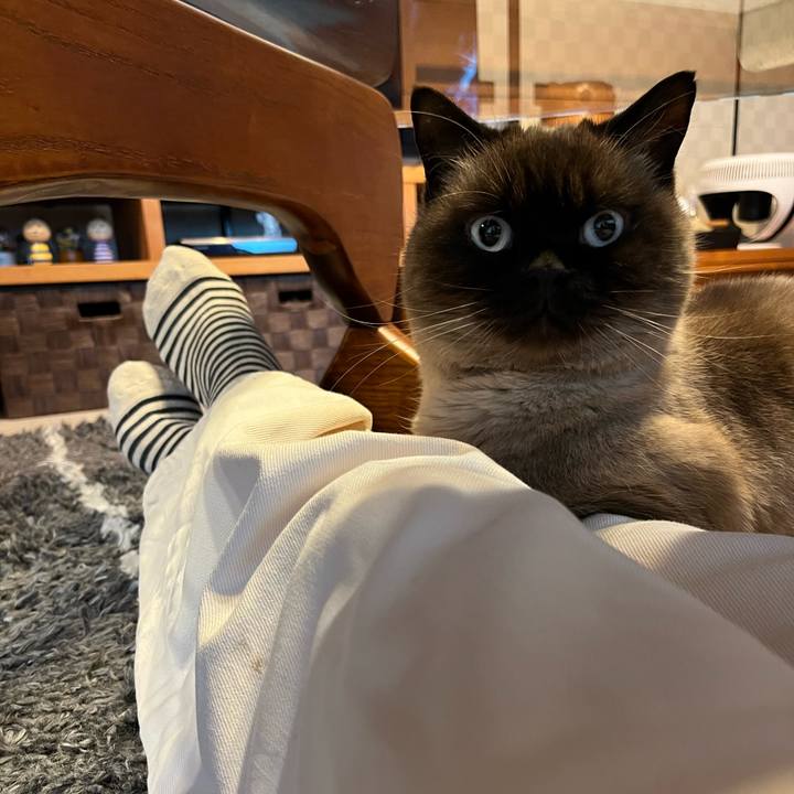 438b6ea5 b17c 4376 aae9 32ac4e9acd1a 1733828307054