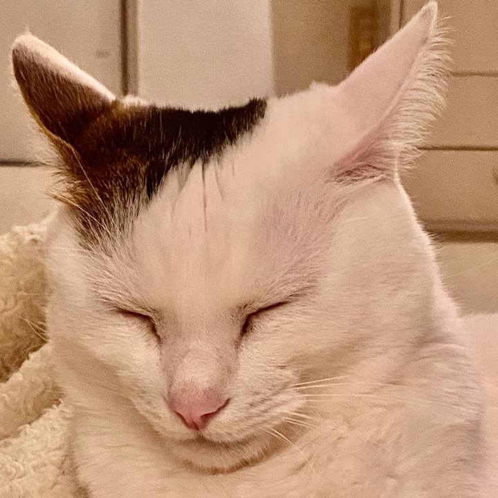 438ba35c e769 4841 a2e7 92f42dfd37aa 1674263221635