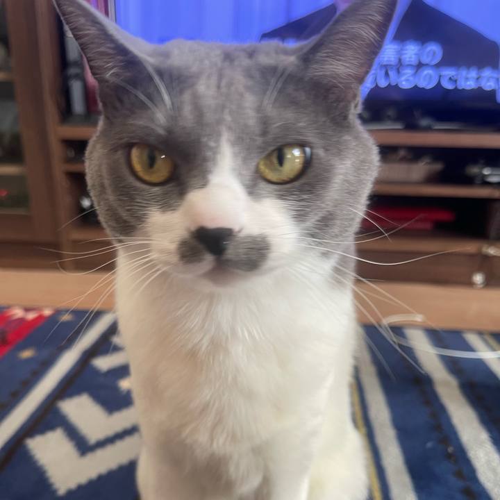 438bac36 b3c8 4843 892c 025a500ff454 1666323293852