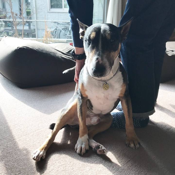 438bc51c 5e6f 41dc 88bb a749d5bb8969 1516509833867