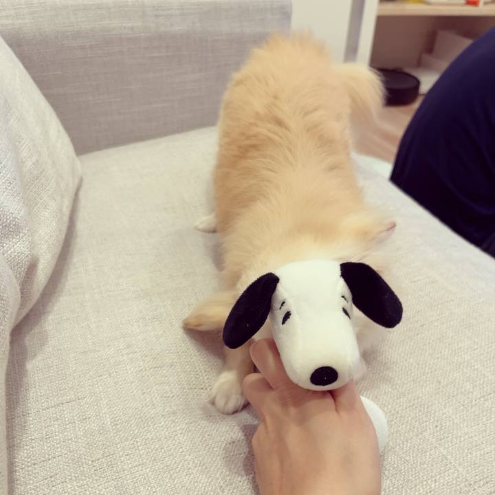 438bf3a1 18d6 48b5 8243 c31dd96f9769 1692527088255