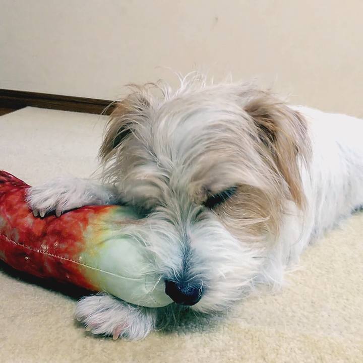 438bfb00 1302 4665 8d75 e230f42e9687 1633729983761