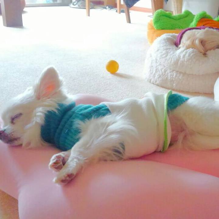 438c21c3 ba6b 466f 9e5d 12c8345c2ef0 1549691817647