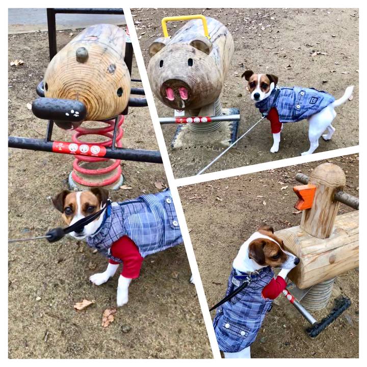 438c5828 aa8a 4d99 aa36 c49a6ece8372 1545213095482