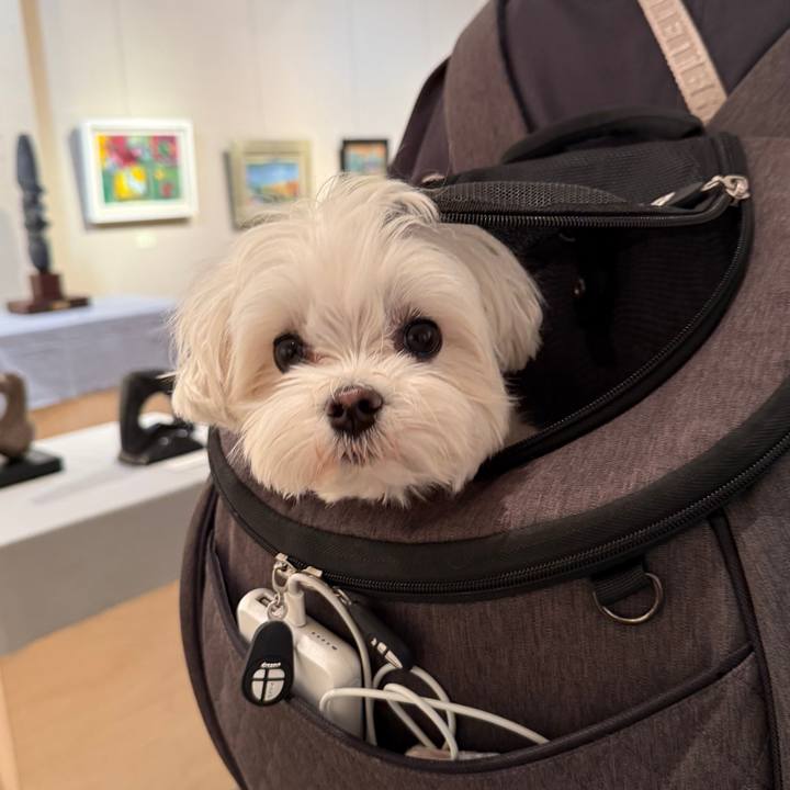 438c5c37 fbed 461d 9e85 da2133474f34 1763273198329