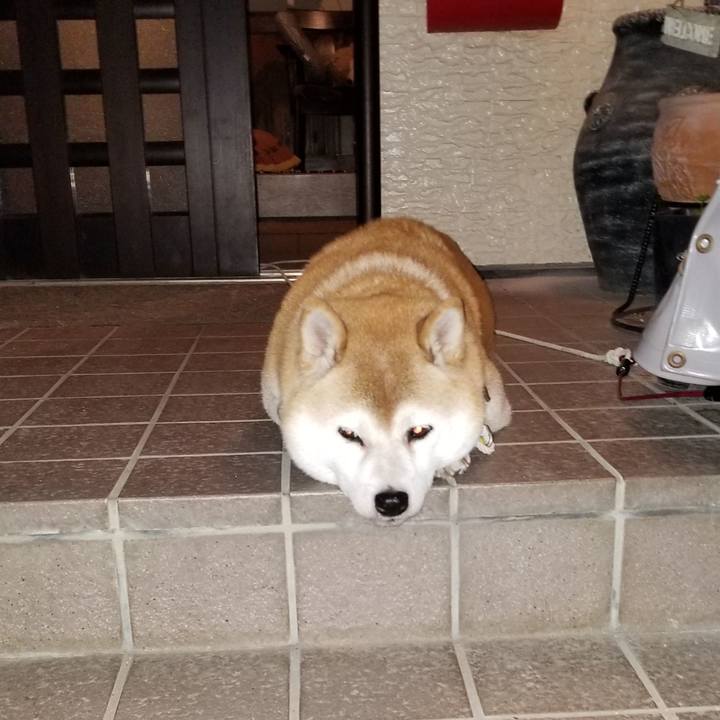 438c85e4 d77a 46bf 9f32 d81099359c9e 1634311005190