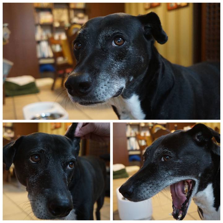 438c8d4c fa60 4466 a628 5ec560ec6ca4 1762041938272