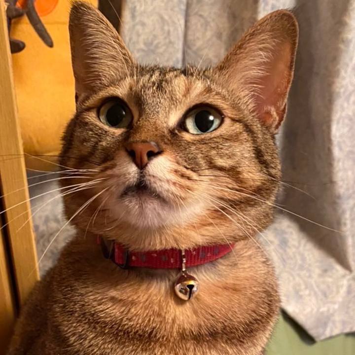 438cb5b3 3338 4b07 94e2 bc8654e9a590 1646831787807