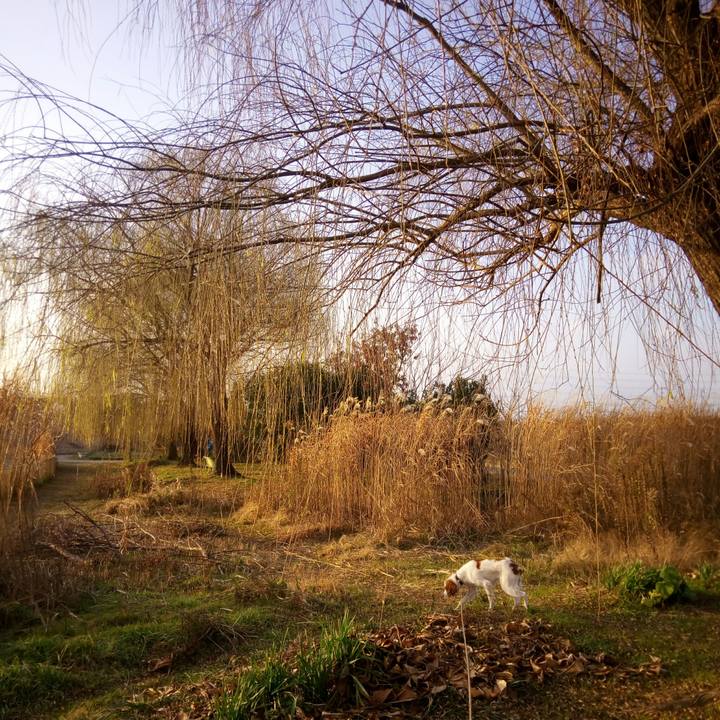 438d035a 1d83 4b01 8c2b d35bfe0270c6 1514533512415