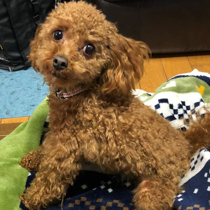 438d1da6 62cf 47a1 b28a 84e3719a82ed 1519475300425