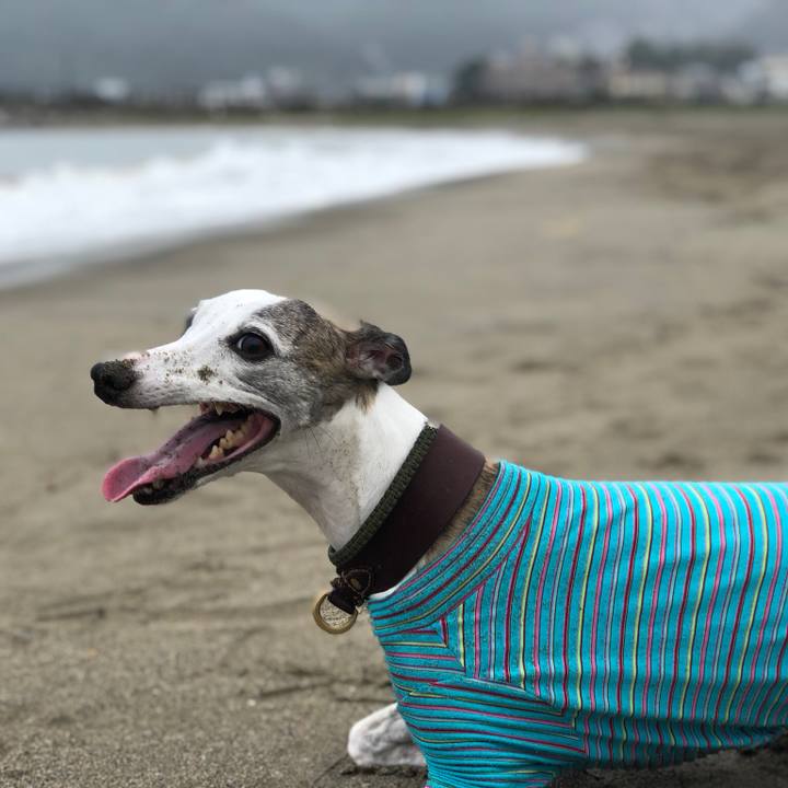 438d8798 2e22 4231 979a 67a42c515fd8 1539508967290