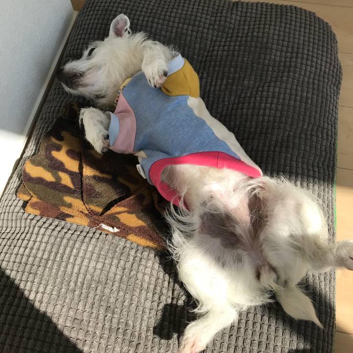 438db941 7977 4003 8f29 5cb07592c00b 1522041197729