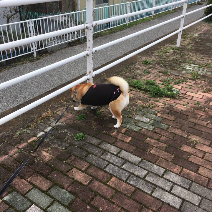 438db9e3 2ae0 4735 8178 c98e48778458 1541564045792