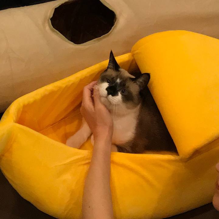 438dd41b f93c 409d 97a4 b1c3ef6893cf 1540728811361