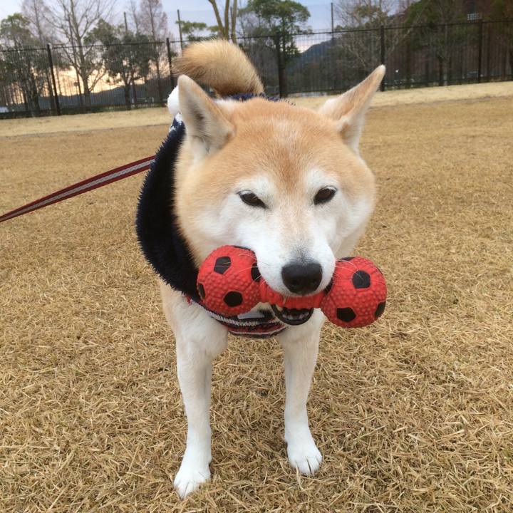 438e0363 5372 4a45 97d5 ee0bc0fb4d8e 1763965002575