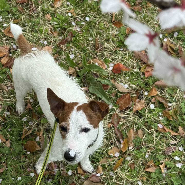 438e0eff 8e0d 4144 9098 d50a7f9326f4 1775310971577