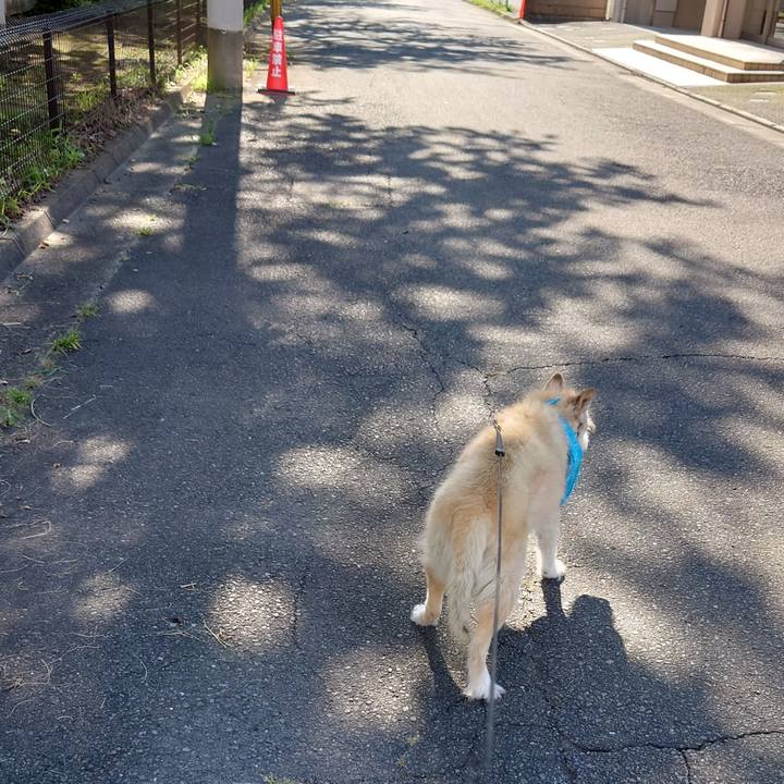 438e11c5 6d6e 4a3e 8be1 8645eb32460f 1626568464383