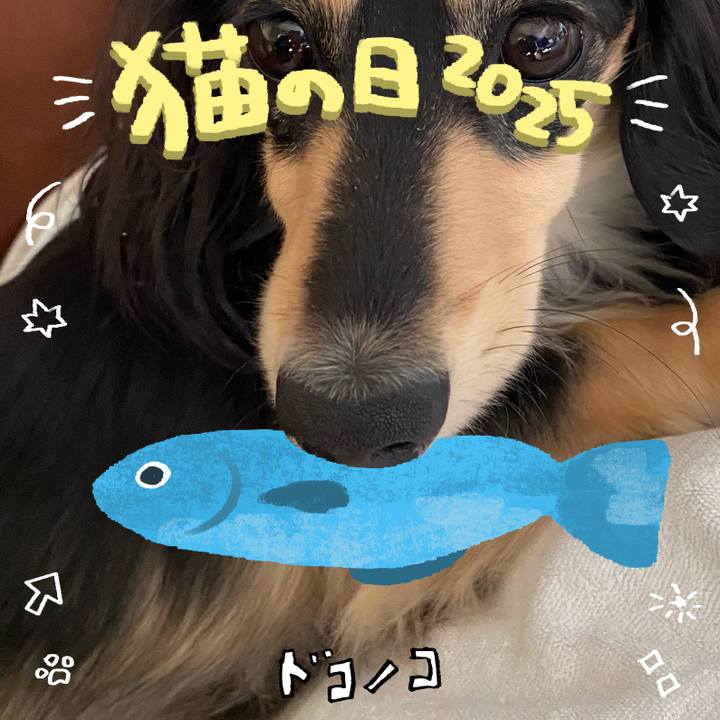 438e159f a15e 4aeb 855c 59b71466ec80 1740183449908