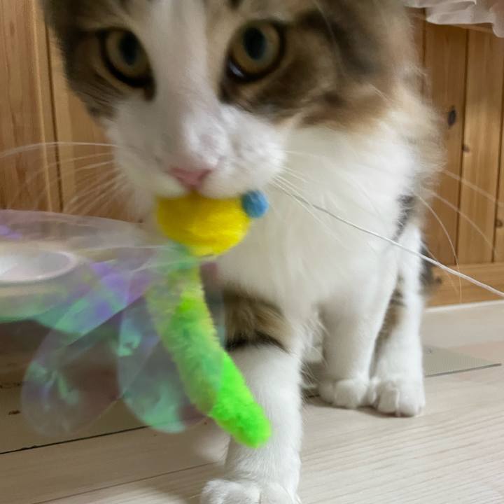 438e4605 6029 4b69 8afb 33bd2c38819b 1637237571204