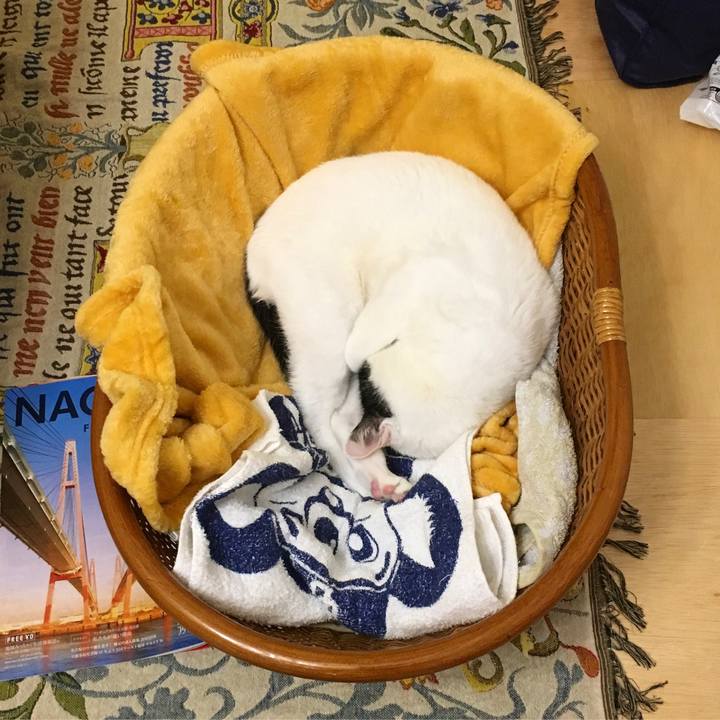 438e6c82 bead 4c7c bfd2 a2fcebf91f44 1580043640804