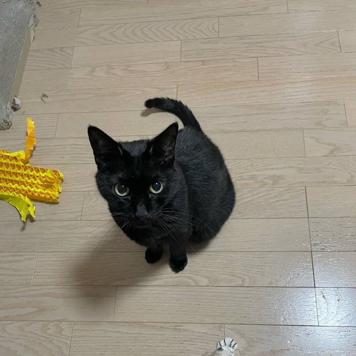 438e7fc4 5f41 44b1 9e8d 3f9462391047 1678272561497