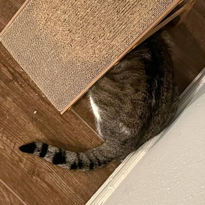 438ea244 9f8c 437c 93b2 f7674d176f51 1769553258444