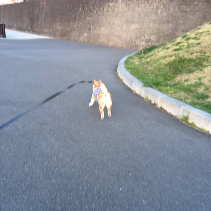 438ec06a 3ad7 457b b96c 233e27de836b 1554804653942