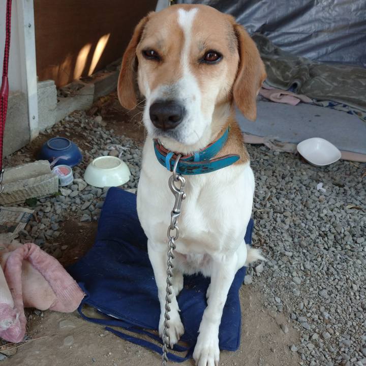 438ec7ea b746 45f7 80a0 e4c54c47b06f 1613710462471