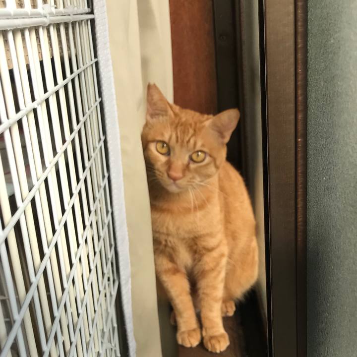 438ed774 4bf6 43a9 a715 62ecc4f1ac26 1585871574483