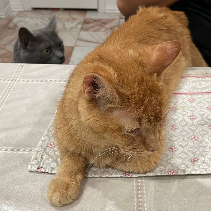 438f0316 3dd0 4c11 ae42 00ccac19511f 1769478557925