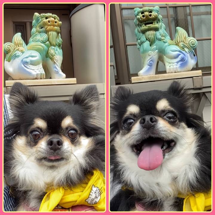 438f0f23 48dd 44b9 bb0e 579fcd63a8be 1658445650199