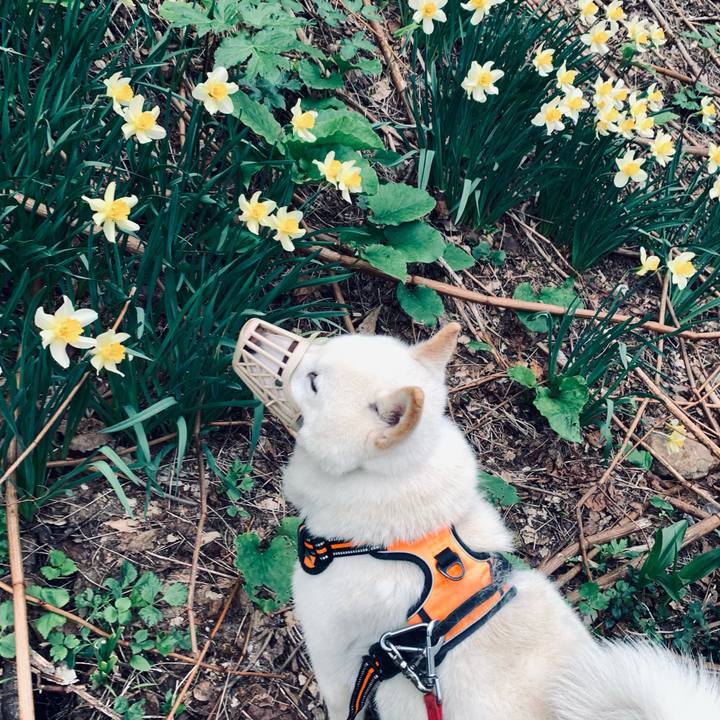 438f13ad 48f9 40bf 8dc6 b6efa28b8ed4 1621114410244