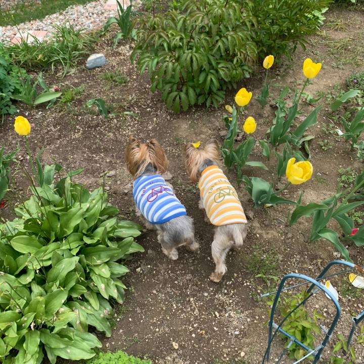 438f7202 9d5c 40b6 9600 5fb08d5d405f 1622197656156