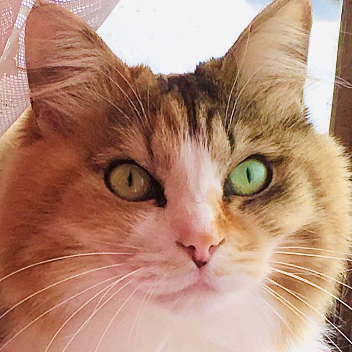 438fd67c 1e1e 4595 b936 622f063290d4 1582006776696