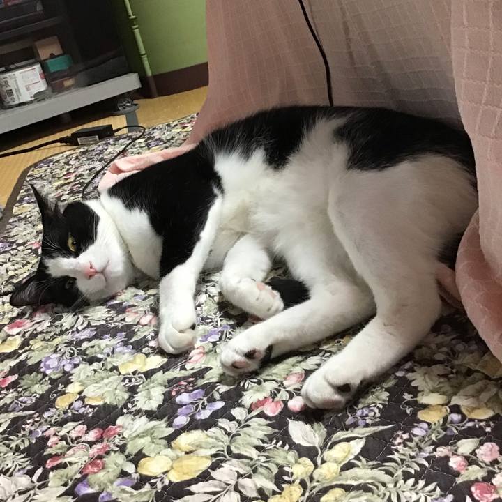 438feae2 e442 48fd 8f5d 02f27bb08f6b 1654492229714