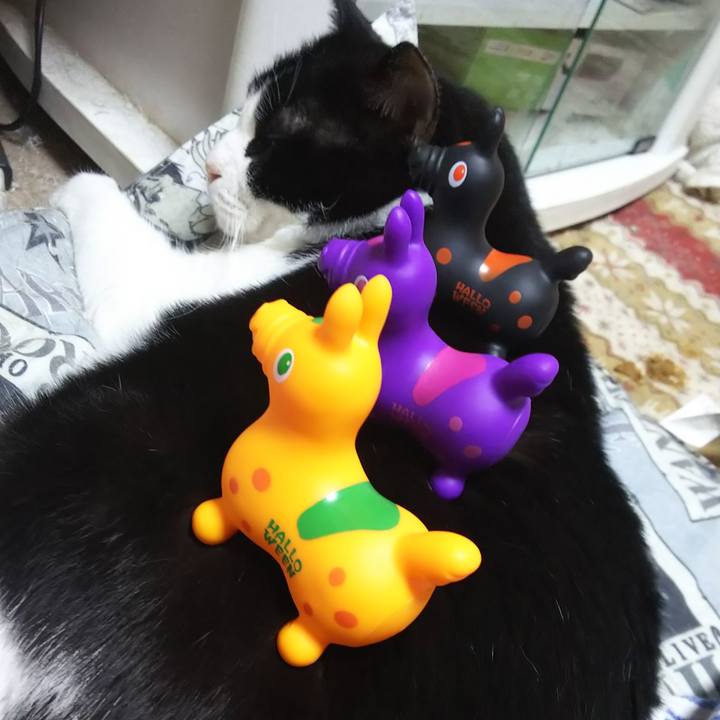 43902570 fe3d 4f4e ae5a 563241b50f27 1569138566374