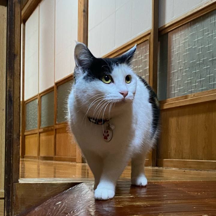 4390370d 317e 4d67 bf19 236969b17812 1643666319915