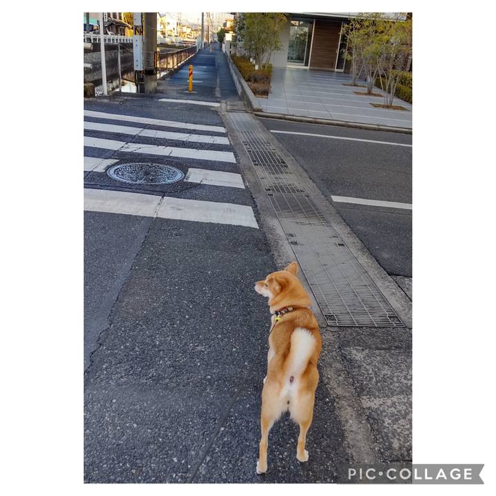 4390382e a9ce 4e89 bf3b be720d6e3d66 1703480679353