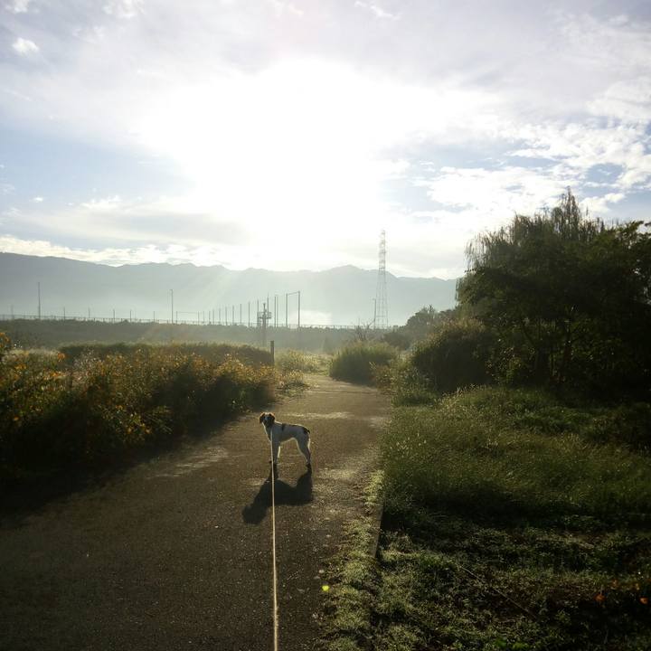 4390d6ea 97e9 4c3f 8717 e1f8a1a4fb5e 1508284378420