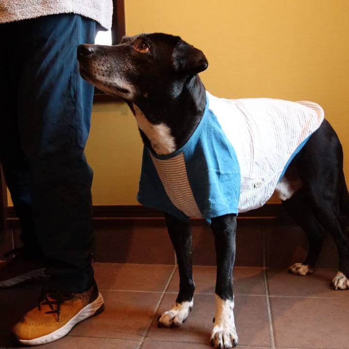 439119df 0d67 48fa 93a0 f22a1b59b587 1740790060077