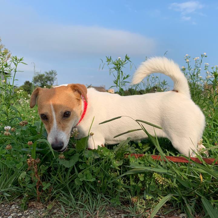 43911b51 466b 4eb5 a776 6340992679fc 1563869685877