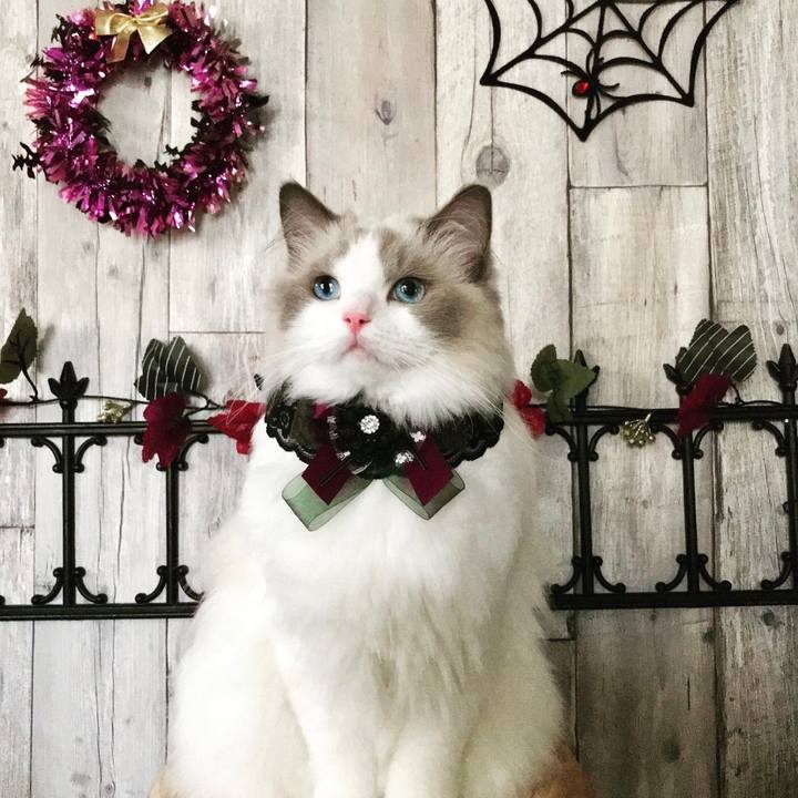 4391333e f7d9 4f14 89f4 597be0e44689 1633947121461