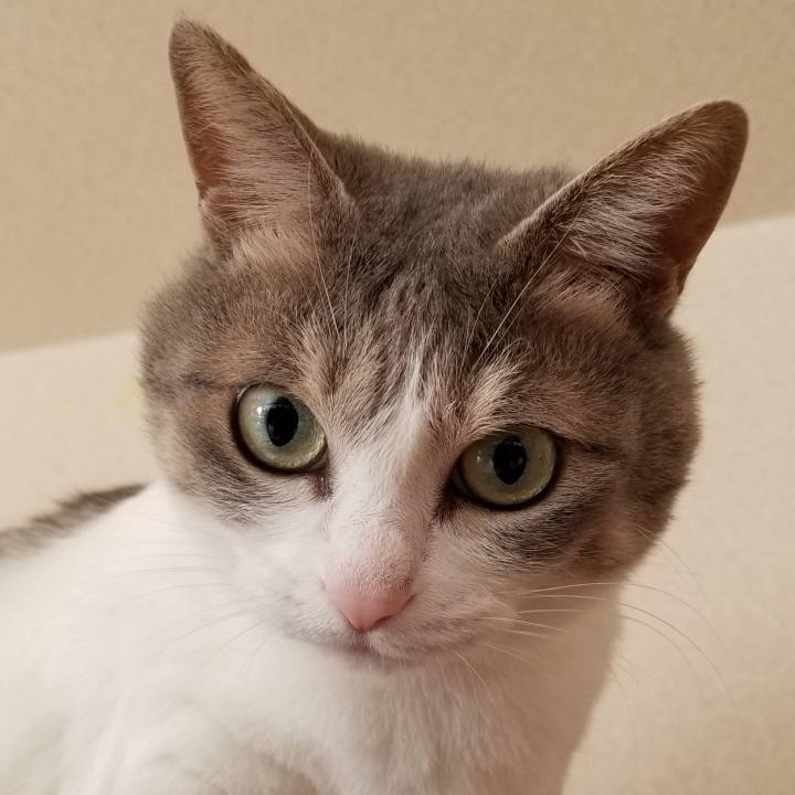 439152a2 2eb8 4f96 935d 9d76bcd96bab 1546313655796